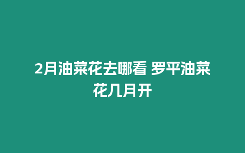 2月油菜花去哪看 羅平油菜花幾月開