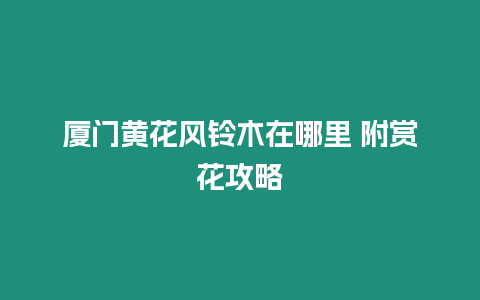 廈門黃花風鈴木在哪里 附賞花攻略