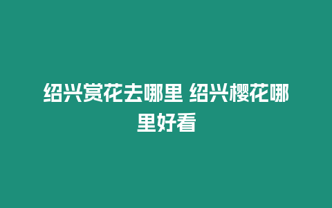 紹興賞花去哪里 紹興櫻花哪里好看