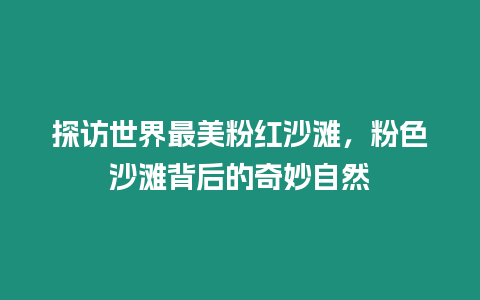 探訪世界最美粉紅沙灘，粉色沙灘背后的奇妙自然