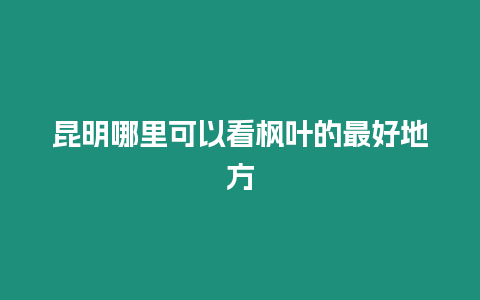 昆明哪里可以看楓葉的最好地方