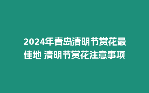 2024年青島清明節賞花最佳地 清明節賞花注意事項