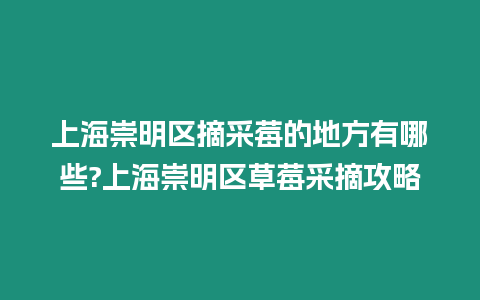 上海崇明區摘采莓的地方有哪些?上海崇明區草莓采摘攻略