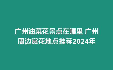 廣州油菜花景點在哪里 廣州周邊賞花地點推薦2024年