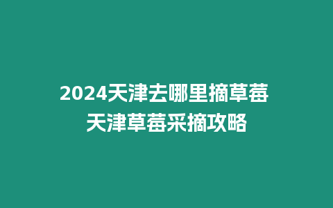 2024天津去哪里摘草莓 天津草莓采摘攻略