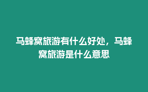 馬蜂窩旅游有什么好處，馬蜂窩旅游是什么意思