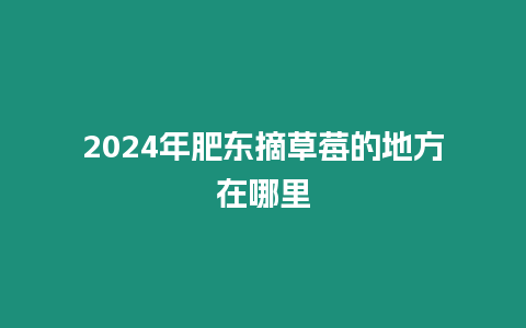 2024年肥東摘草莓的地方在哪里