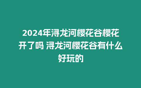 2024年潯龍河櫻花谷櫻花開(kāi)了嗎 潯龍河櫻花谷有什么好玩的