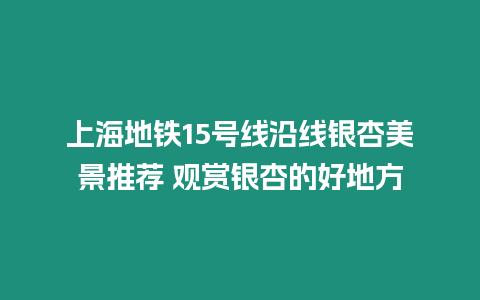 上海地鐵15號(hào)線沿線銀杏美景推薦 觀賞銀杏的好地方