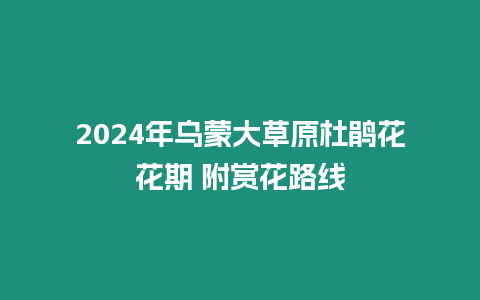 2024年烏蒙大草原杜鵑花花期 附賞花路線