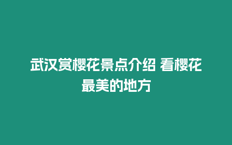 武漢賞櫻花景點介紹 看櫻花最美的地方