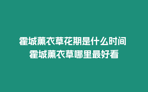 霍城薰衣草花期是什么時間 霍城薰衣草哪里最好看