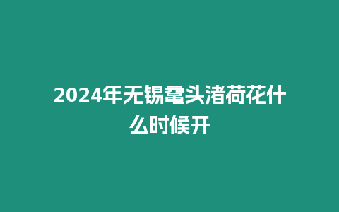 2024年無錫黿頭渚荷花什么時(shí)候開