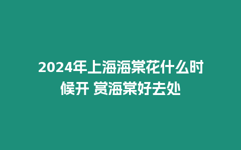 2024年上海海棠花什么時候開 賞海棠好去處