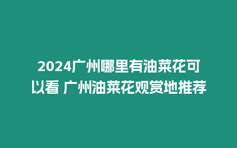 2024廣州哪里有油菜花可以看 廣州油菜花觀賞地推薦