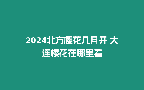 2024北方櫻花幾月開 大連櫻花在哪里看