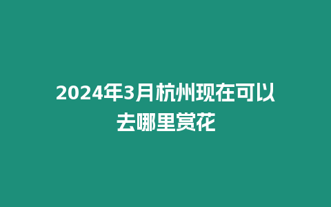 2024年3月杭州現在可以去哪里賞花