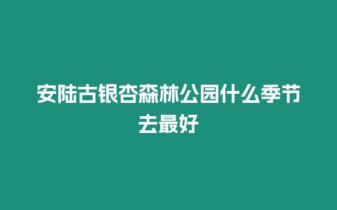 安陸古銀杏森林公園什么季節去最好