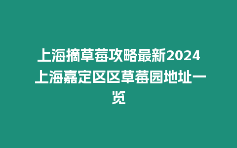 上海摘草莓攻略最新2024 上海嘉定區(qū)區(qū)草莓園地址一覽