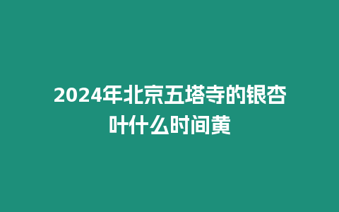 2024年北京五塔寺的銀杏葉什么時間黃