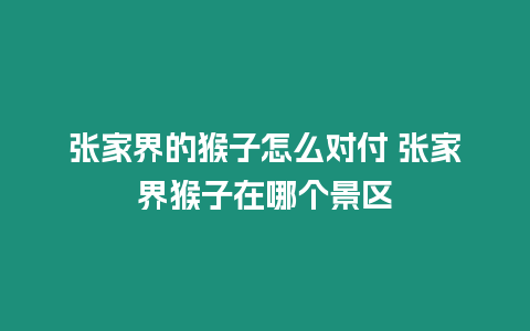 張家界的猴子怎么對付 張家界猴子在哪個景區