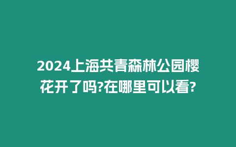 2024上海共青森林公園櫻花開了嗎?在哪里可以看?