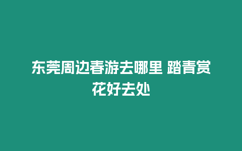 東莞周邊春游去哪里 踏青賞花好去處