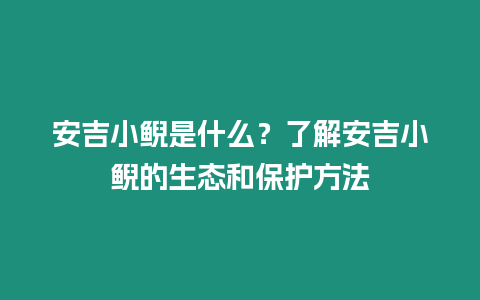 安吉小鯢是什么？了解安吉小鯢的生態(tài)和保護(hù)方法