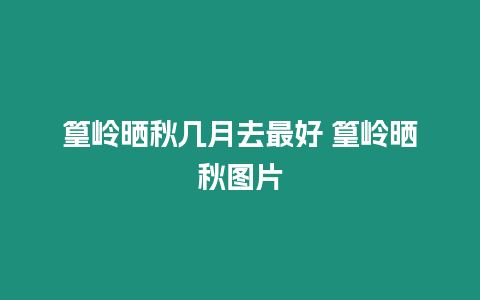 篁嶺曬秋幾月去最好 篁嶺曬秋圖片