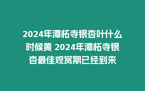 2024年潭柘寺銀杏葉什么時候黃 2024年潭柘寺銀杏最佳觀賞期已經到來