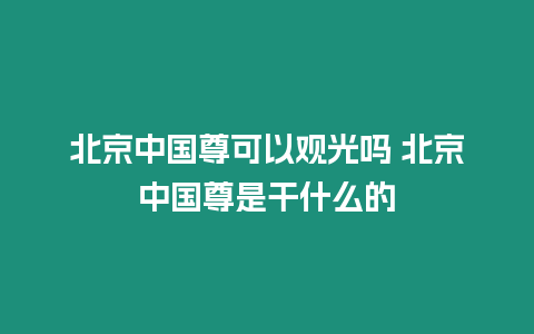 北京中國尊可以觀光嗎 北京中國尊是干什么的