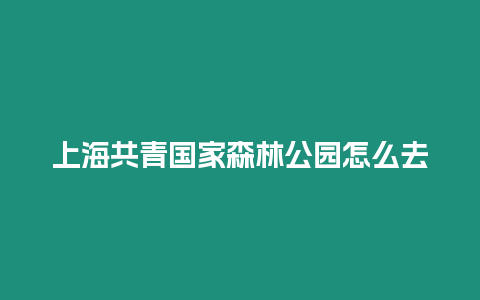 上海共青國家森林公園怎么去