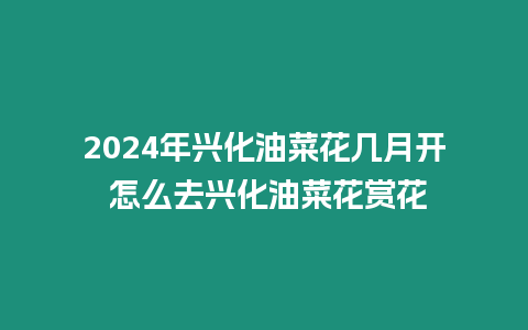 2024年興化油菜花幾月開 怎么去興化油菜花賞花