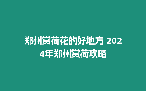 鄭州賞荷花的好地方 2024年鄭州賞荷攻略