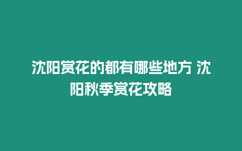 沈陽賞花的都有哪些地方 沈陽秋季賞花攻略