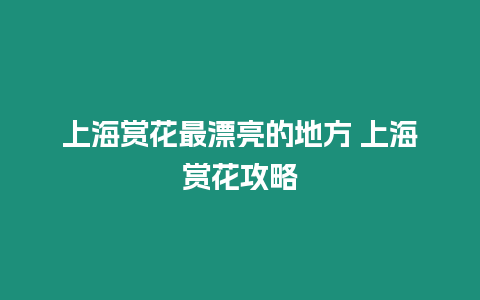 上海賞花最漂亮的地方 上海賞花攻略