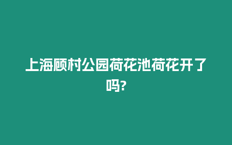 上海顧村公園荷花池荷花開了嗎?