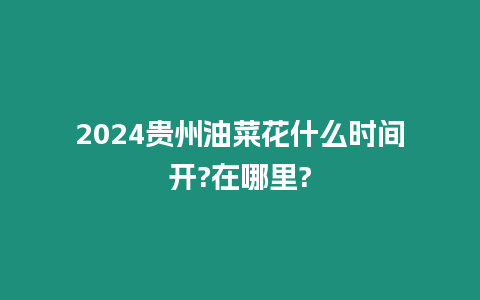 2024貴州油菜花什么時間開?在哪里?