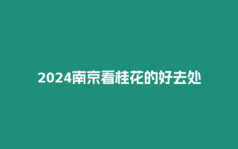 2024南京看桂花的好去處