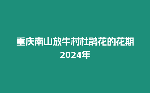 重慶南山放牛村杜鵑花的花期2024年