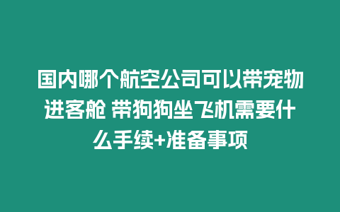 國(guó)內(nèi)哪個(gè)航空公司可以帶寵物進(jìn)客艙 帶狗狗坐飛機(jī)需要什么手續(xù)+準(zhǔn)備事項(xiàng)