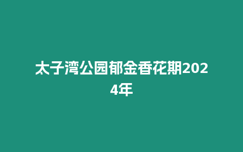 太子灣公園郁金香花期2024年