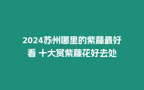 2024蘇州哪里的紫藤最好看 十大賞紫藤花好去處