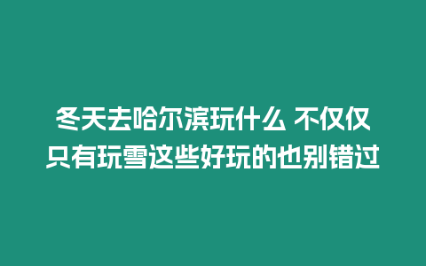 冬天去哈爾濱玩什么 不僅僅只有玩雪這些好玩的也別錯(cuò)過