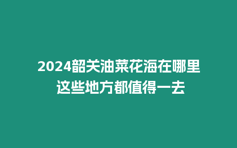 2024韶關油菜花海在哪里 這些地方都值得一去