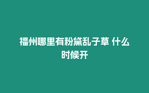 福州哪里有粉黛亂子草 什么時候開