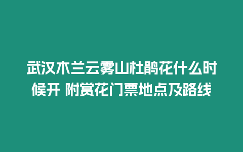 武漢木蘭云霧山杜鵑花什么時(shí)候開 附賞花門票地點(diǎn)及路線