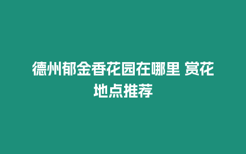 德州郁金香花園在哪里 賞花地點推薦