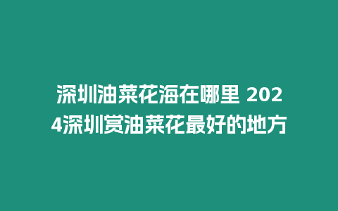 深圳油菜花海在哪里 2024深圳賞油菜花最好的地方