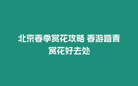 北京春季賞花攻略 春游踏青賞花好去處